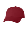 Bio-Washed Dad Hat